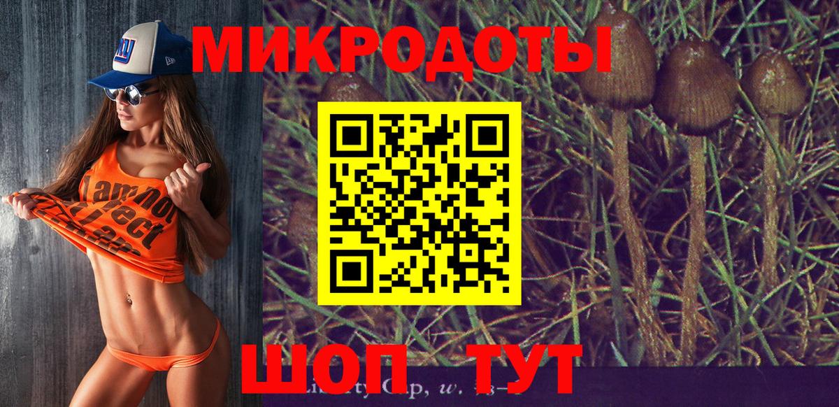 Сергиев Посад  Галлюциногенные грибы Cubensis  купить   Вход с VPN  Галлюциногенные грибы GOLDEN TEACHER 