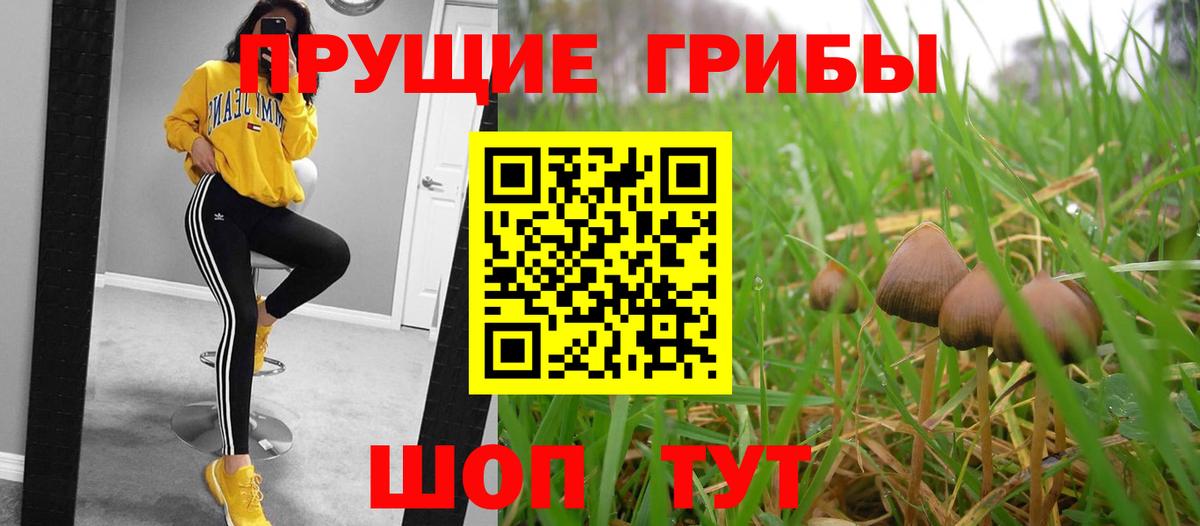 Псилоцибиновые грибы Magic Shrooms Сергиев Посад